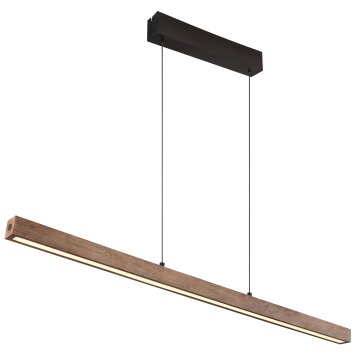 Globo Olivus Hanglamp LED Zwart, 1-licht