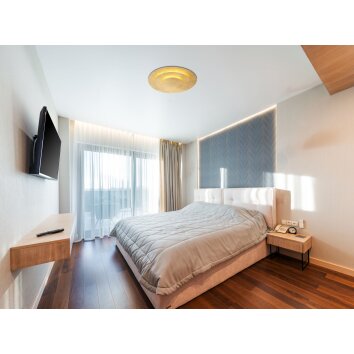 Globo Heda Plafondlamp LED Goud, 1-licht