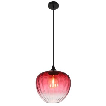 Globo Sander Hanglamp Zwart, 1-licht