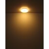 Globo Imelda Plafondlamp LED Wit, 1-licht