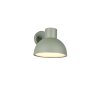 Trio verlichting ELBE Wandlamp Groen, 1-licht
