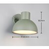 Trio verlichting ELBE Wandlamp Groen, 1-licht