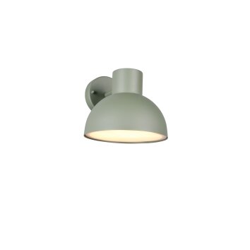 Trio verlichting ELBE Wandlamp Groen, 1-licht