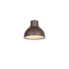 Trio verlichting ELBE Wandlamp Roest, 1-licht