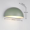 Trio verlichting MAAS Wandlamp Groen, 1-licht