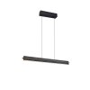 Trio verlichting Emerson Hanglamp LED Zwart, 1-licht