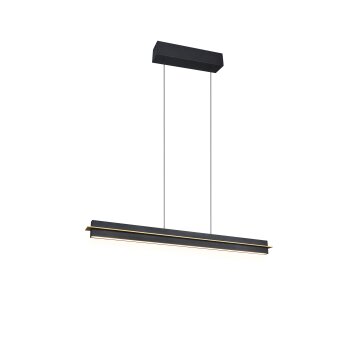 Trio verlichting Emerson Hanglamp LED Zwart, 1-licht