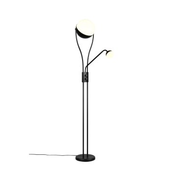 Trio verlichting Chris Staande lamp LED Zwart, 2-lichts