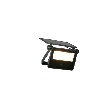 Reality Moura Wandlamp LED Zwart, 1-licht, Bewegingsmelder