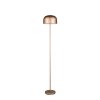 Reality Jeff Staande lamp LED Bruin, 1-licht