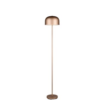 Reality Jeff Staande lamp LED Bruin, 1-licht