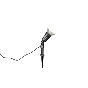 Reality CACERES Tuin spotlight LED Zwart, 1-licht