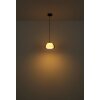 Globo Avila Hanglamp LED Chroom, Zwart, 1-licht, Afstandsbediening
