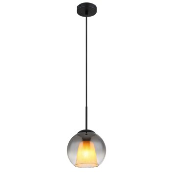Globo Barry Hanglamp Zwart, 1-licht
