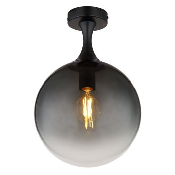 Globo Dalton Plafondlamp Zwart, 1-licht