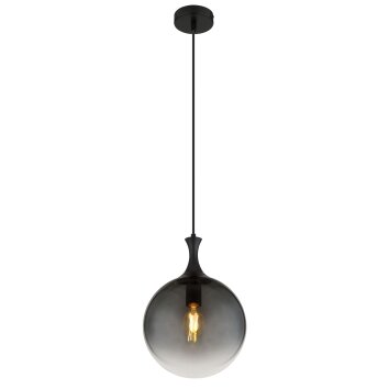 Globo Dalton Hanglamp Zwart, 1-licht