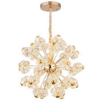 Globo Floriella Hanglamp LED Goud, 1-licht