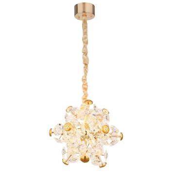 Globo Floriella Hanglamp LED Goud, 1-licht