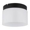 Globo Trenton Plafondlamp LED Zwart, 1-licht
