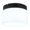 Globo Trenton Plafondlamp LED Zwart, 1-licht
