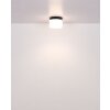 Globo Trenton Plafondlamp LED Zwart, 1-licht