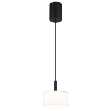 Globo Trenton Hanglamp LED Zwart, 1-licht