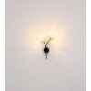 Globo Fiore Wandlamp Zwart, 2-lichts