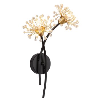 Globo Fiore Wandlamp Zwart, 2-lichts