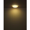 Globo Lazaro Plafondlamp LED Wit, 1-licht