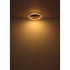 Globo Luffy Plafondlamp LED Goud, Zwart, 1-licht