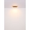 Globo Luffy Plafondlamp LED Goud, Zwart, 1-licht