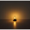 Globo Petro Tafellamp LED Champagne, 1-licht