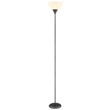 Globo Wilbur Staande lamp Titan, 1-licht