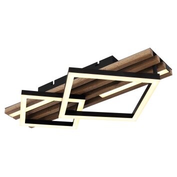 Globo Obrien Plafondlamp LED Natuurlijke kleuren, Zwart, 1-licht