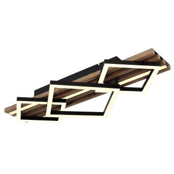 Globo Obrien Plafondlamp LED Natuurlijke kleuren, Zwart, 1-licht