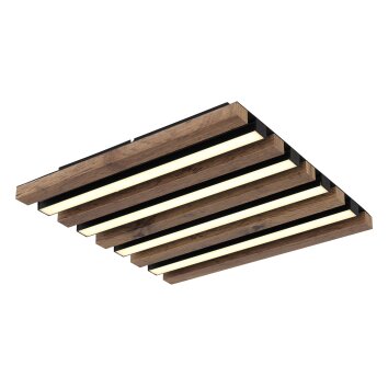 Globo Hayden Plafondlamp LED Natuurlijke kleuren, Zwart, 1-licht