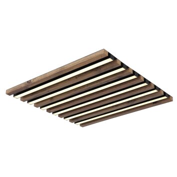 Globo Hayden Plafondlamp LED Natuurlijke kleuren, Zwart, 1-licht