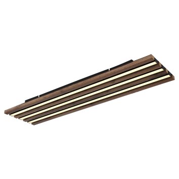 Globo Hayden Plafondlamp LED Natuurlijke kleuren, Zwart, 1-licht