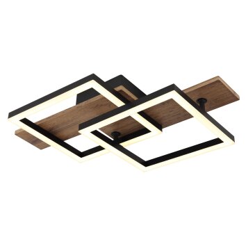 Globo Jeffry Plafondlamp LED Natuurlijke kleuren, Zwart, 1-licht