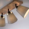 JUST LIGHT GERDA MICHEL Plafondlamp, Plafondspot Natuurlijke kleuren, Zwart, 3-lichts