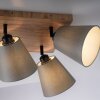 JUST LIGHT GERDA MICHEL Plafondlamp, Plafondspot Natuurlijke kleuren, Zwart, 4-lichts
