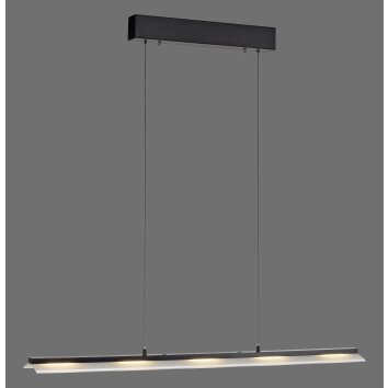 Lichten Direct NELE Hanglamp LED Zwart, 1-licht