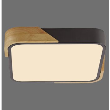 Lichten Direct BILA Plafondlamp LED Zwart, 1-licht