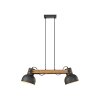 Lichten Direct 2.0 Hanglamp LED Bruin, Zwart, 2-lichts