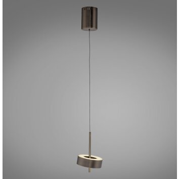 Paul Neuhaus Q-Serie Q-Rotate Hanglamp LED Bruin, 1-licht, Afstandsbediening