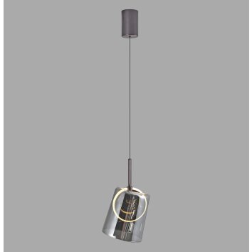 Paul Neuhaus Verlichting Zula Hanglamp LED Bruin, 1-licht