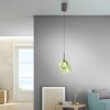 Paul Neuhaus Verlichting Zula Hanglamp LED Bruin, 1-licht