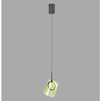 Paul Neuhaus Verlichting Zula Hanglamp LED Bruin, 1-licht