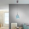 Paul Neuhaus Verlichting Zula Hanglamp LED Bruin, 1-licht
