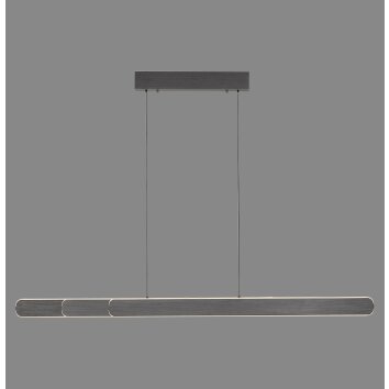 Paul Neuhaus Verlichting Round Hanglamp LED Zwart, 2-lichts